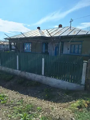 Casă 4 camere, curte 1680 mp - sat Lunca, com. C.A. Rosetti, jud Buzău - imagine 10