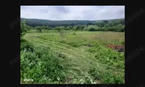 Caut teren lângă padure - imagine 4