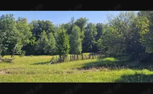 Caut teren lângă padure - imagine 2