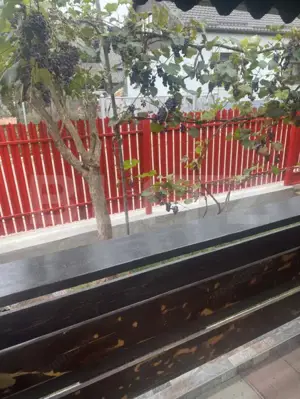 Casă tip vilă, Gura Humorului - imagine 2 Casă tip vilă, Gura Humorului - imagine 2