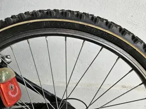 Bicicleta PEGASUS Avanti