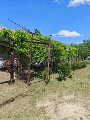 Casă de vânzare în Vlad Țepeș, com. Comana, jud. Giurgiu - imagine 4