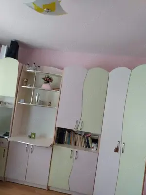 Apartament de vanzare zona Nufarul PB Vizavi de Lotus - imagine 9