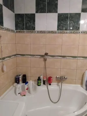 Apartament de vanzare zona Nufarul PB Vizavi de Lotus - imagine 7