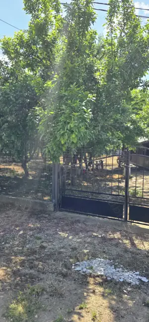 Casa la 28 km de București  - imagine 8