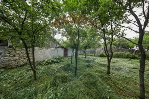 Casă spatioasa cu anexe si gradina in localitatea Ungra/Brasov - imagine 6