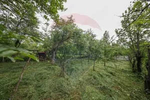 Casă spatioasa cu anexe si gradina in localitatea Ungra/Brasov - imagine 11