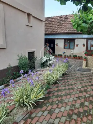 Casa individuala plus anexa, zona centrala in Faget - imagine 5