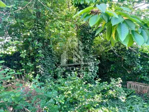 Casa individuala - zona inalta Bujac - imagine 10