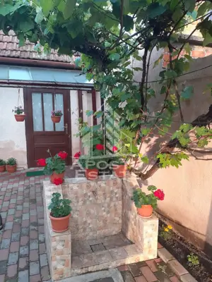 Casa individuala plus anexa, zona centrala in Faget - imagine 4