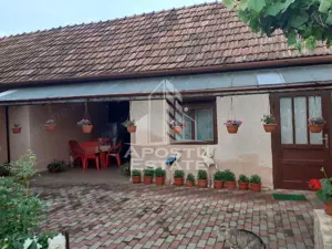 Casa individuala plus anexa, zona centrala in Faget - imagine 3