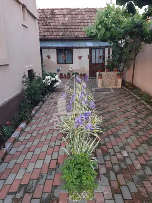 Casa individuala plus anexa, zona centrala in Faget - imagine 6