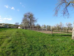 Casa cu anexe si teren - imagine 6