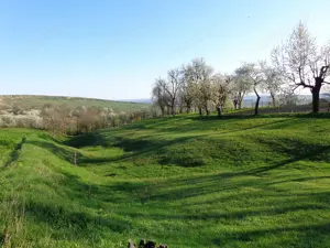 Casa cu anexe si teren - imagine 7