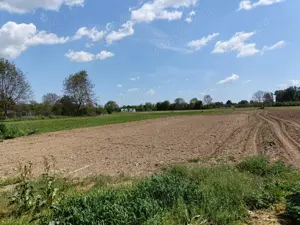 Vând teren750 mp apropiere București ideal casa