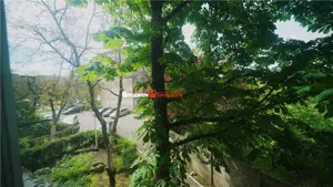 APARTAMENT 2 CAMERE | ETAJ 1 | BORSECULUI - imagine 9