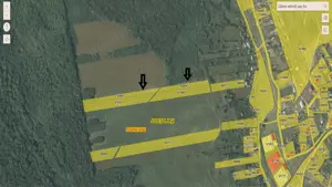 Aroneanu Rediu Aldei - imagine 5