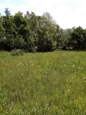 Vand teren intravilan , la 20 de km de Pitesti  - imagine 2