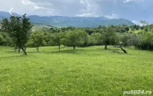 Teren extravilan Cisnădie 