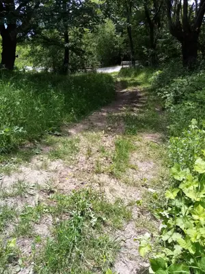 Teren com. Salatrucel, la 7 km de Calimanesti Caciulata - imagine 9