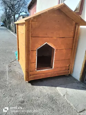 Cusca câine izolata