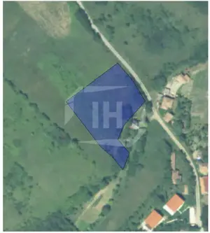 Teren intravilan, 2900 mp, 40 ml front, zona Corpadea - imagine 2