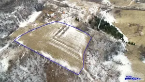 Vând teren tomnatic bihor