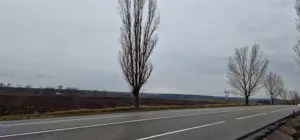 Bacau, teren 5,3 ha ,Bogdan Vodă,zona industriala pentru logistica  - imagine 3