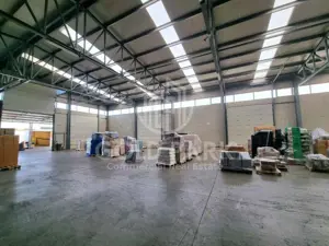 Hala/Depozit-Zona Autostrazii-Curte Betonata/Rampa-350-660-900 mp - imagine 6