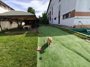 Pensiune închiriere integral cu Piscină privată - Sărata Monteoru   BZ - imagine 9