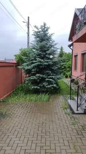 Casa P+E+ M, canalizare, Cartier Editurii, Lunca Cetatuii - imagine 9