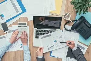 Servicii contabilitate Timis si Arad   SRL, PFA, ONG