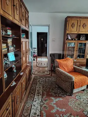 Apartament de vanzare, cu 2 camere, 47 mp, zona Radu Popescu - imagine 4