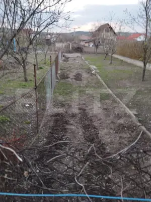 Apartament 3 camere cu gradina in Mihai Viteazu - imagine 13