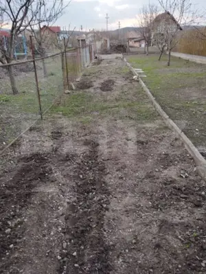 Apartament 3 camere cu gradina in Mihai Viteazu - imagine 12