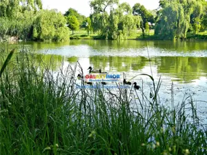 Teren intravilan de la 300 mp, Sosea, langa Balta, Rate Dezvoltator!!! - imagine 3