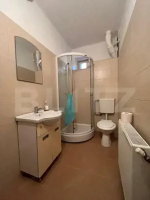 Casa P+1, Brazda lui Novac, 380 mp de teren - imagine 20