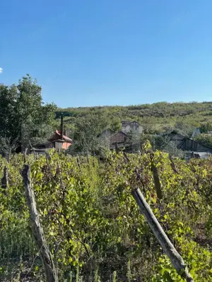 Casa batraneasca, locuibila, Podari, teren 1050 mp