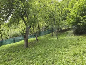 Casa renovabila din lemn, teren 830 mp - imagine 4