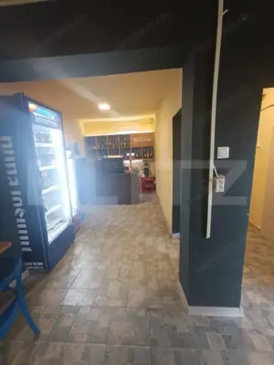 Casa cu vad si afacere, 2 camere, 52 mp+teren de 292 mp, Timisoara - imagine 2