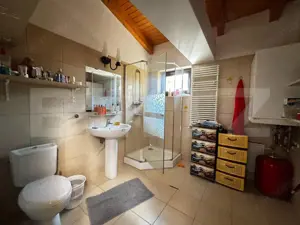 Casa cu 4 camere, 260 mp, zona Cetate  - imagine 10