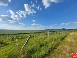PRET REDUS!!! Proprietate viticola ecologica in zona Siria - imagine 4