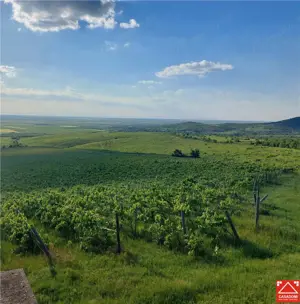 PRET REDUS!!! Proprietate viticola ecologica in zona Siria