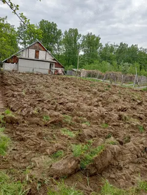 De vanzare casa si teren in Dealu Launele Valcea - imagine 2