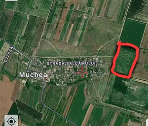 Teren agricol in satul Muchea, 2 ha
