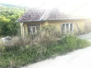 Casa de vinzare la tara  - imagine 3