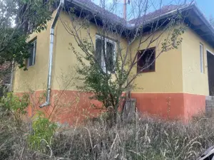 Casa de vinzare la tara  - imagine 8