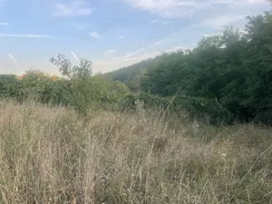 Casa de vinzare la tara  - imagine 9