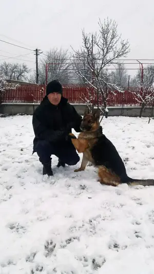 Doresc angajare agent securitate .