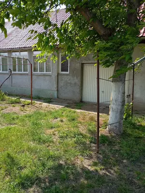 Vând Închiriez casa în comuna Pesac - imagine 6 Vând Închiriez casa în comuna Pesac - imagine 6